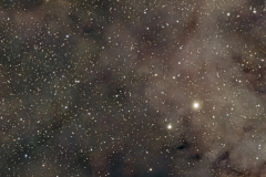 North American Nebula North American Nebula