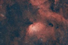 Tulip Nebula Tulip Nebula