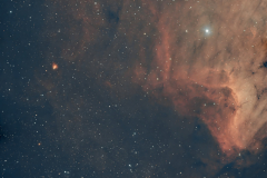 Pelican Nebula Pelican Nebula